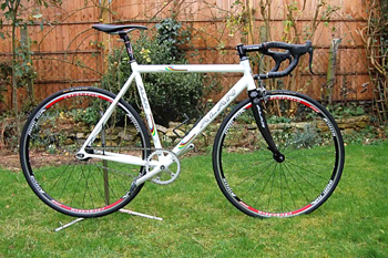 alan fixie