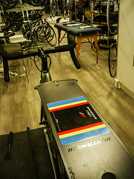alpine bikes