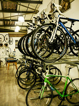 alpine bikes trek store
