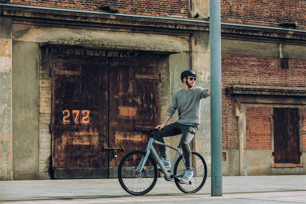 ananda e-bike motors