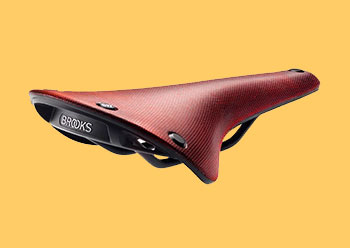 brooks cambium