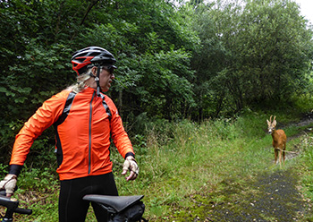 assos rs sturmprinz evo jacket