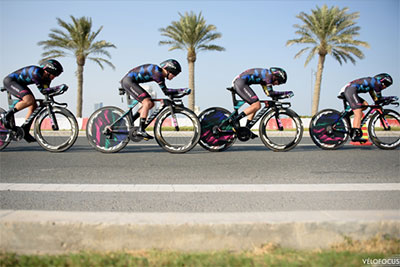 velofocus - balint hamvas