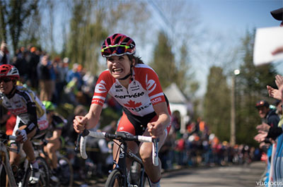velofocus - balint hamvas