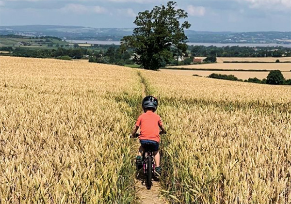 black mountain bicycles