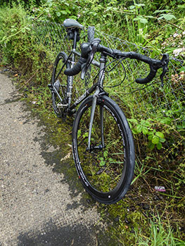 campagnolo bora wto wheelset