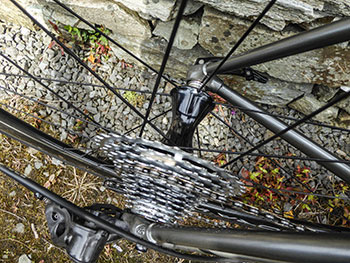 campagnolo bora wto wheelset