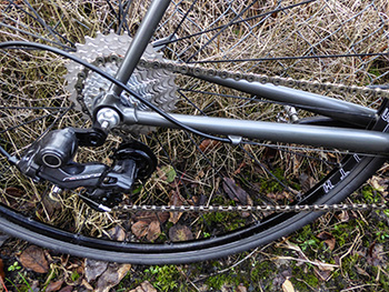 campagnolo record twelve-speed