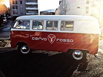 cervo rosso vw bus