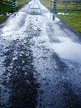 challenge parigi-roubaix