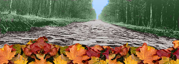 paris-roubaix in autumn