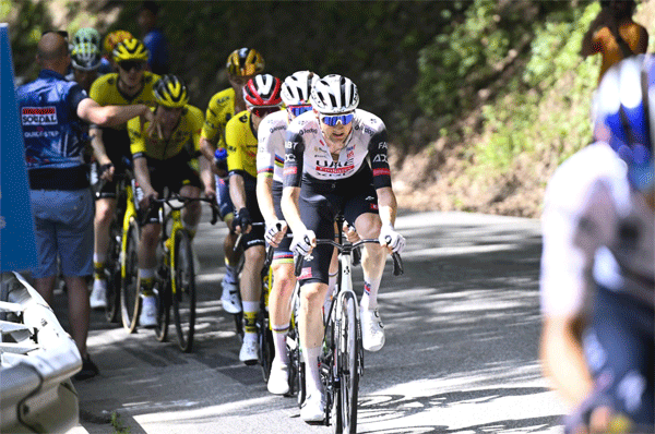 colnago race bikes