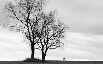 cyclocross the book
