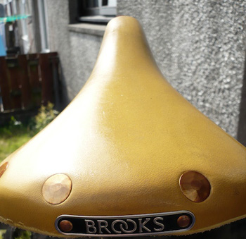 brooks colt