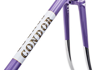 condor classico