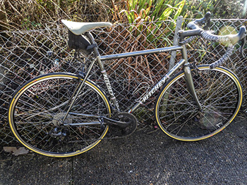 condor cycles handbuilt canpagnolo/mavic wheelset
