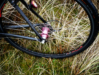 continental speed king tyre/chris king cross wheel