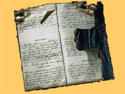 diary