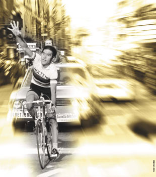 eddy merckx