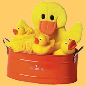bucket and sponge