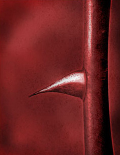 thorn