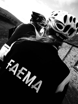 woolistic faema merino training jersey