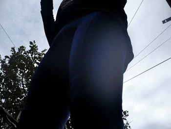 rapha winter tights