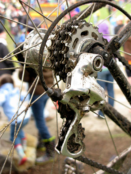 multi-single speed
