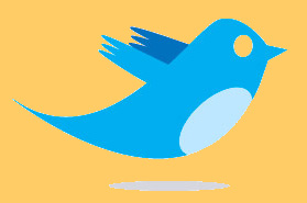 twitter