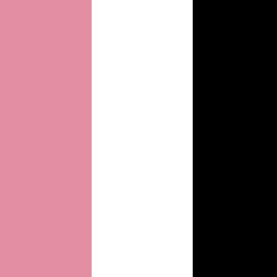 rapha condor flag