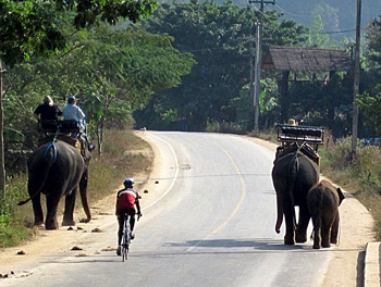 welcome to great elephants