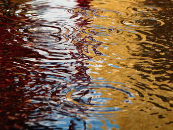 rain