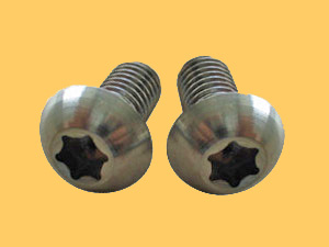 torx bolts
