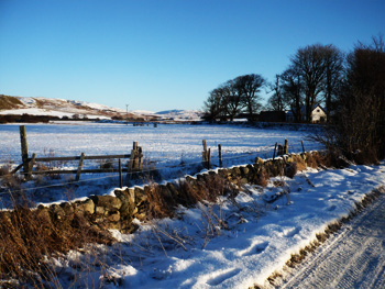 weather and climate