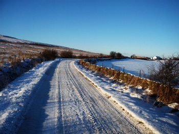 weather and climate