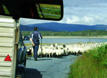 traffic jam