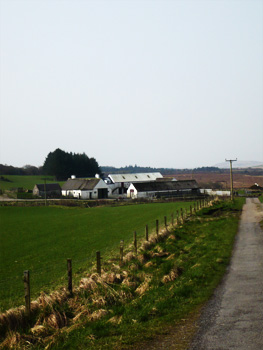 the glen road