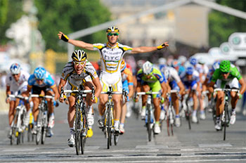 domestique city