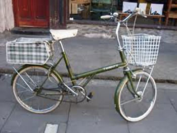 raleigh twenty