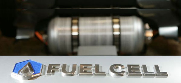 hydrogen fuel cell