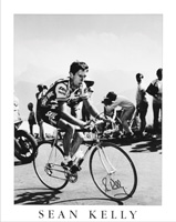 sean kelly poster