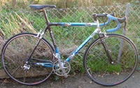 schwalbe ultremo on colnago
