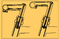 old stems