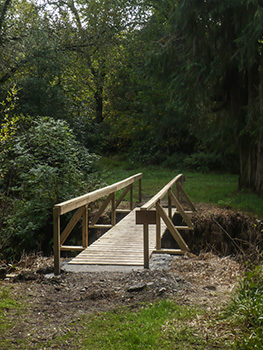 bridgend woods