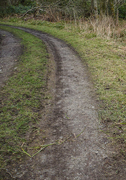 bridgend woods