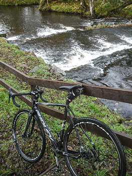 bridgend woods