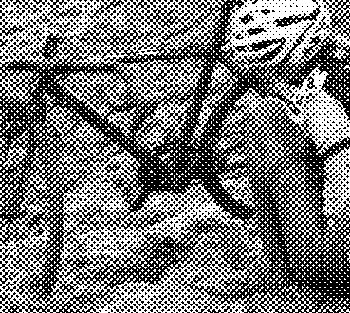 cyclocross