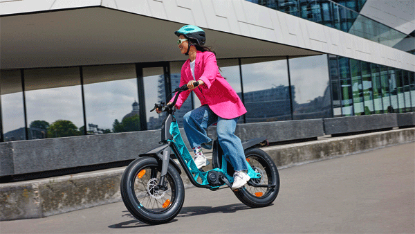 yamaha e-bike