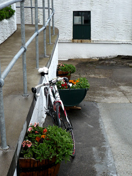 lagavulin