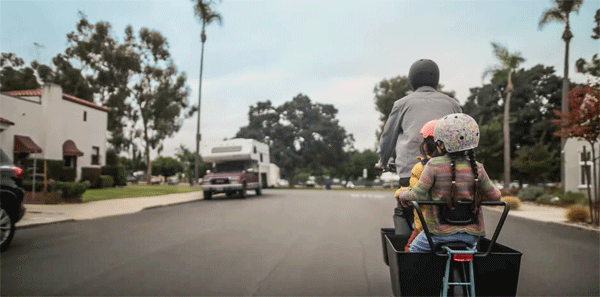 trek fetch cargo bike